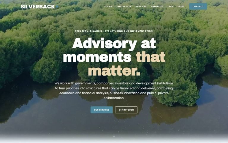 Silverback Earth — sitio web diseñado por LA BRUTAL